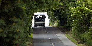 Bus fährt durch eine Allee