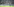Sehr viele Fußballfans auf einer Tribüne, davor das Spielgeld und ein Tor