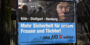 Pro-AfD-Plakat