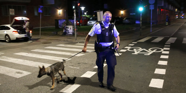 Polizist mit Hund auf dunkler Straße