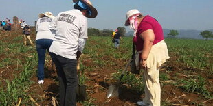 Mitglieder der Gruppe Colectivo Solecito Veracruz auf der Suche nch Vermisste