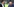 Die Manager Fredi Bobic und Christian Heidel stehen nebeneinander