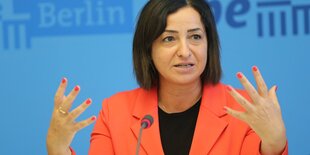 Senatorin Dilek Kolat