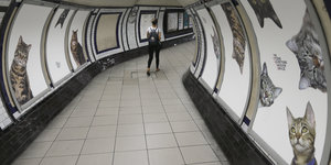 Ein Mann läuft den Ubahnschacht entlang. Neben ihm auf den Werbeplakatensind Katzenbilder zu sehen