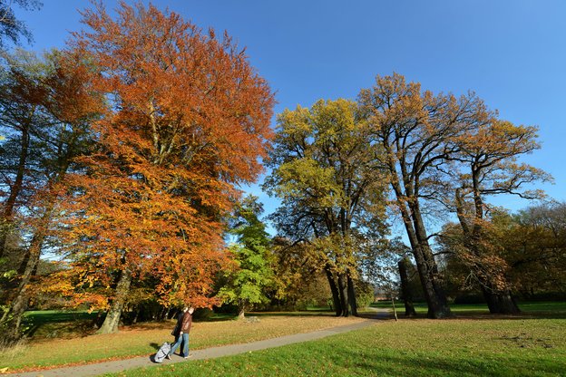 zwei PassantInnen gehen im Herbst durch den Schloßpark Buch