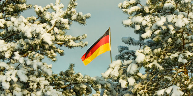Deutschlandflagge hinter zugeschneiten Ästen Deutschlandflagge hinter zugeschneiten Ästen