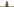 Viele „kleine Maulwürfe“ im Stofftierformat sitzen nebeneinander