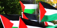 Demonstranten schwenken Pro-Palästina-Fahnen