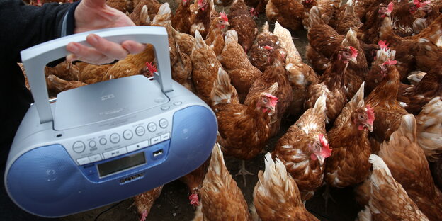 ein tragbarer CD-Spieler und jede Menge dichtgedrängte Hühner