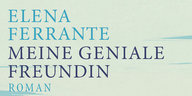 Cover Roman Elena Ferrante