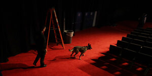 Ein Mann läuft mit einem Hund, den er an der Leine führt über einen roten Teppich durch einen Hörsaal