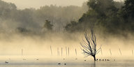 Über einem See hängt Nebel in der Luft
