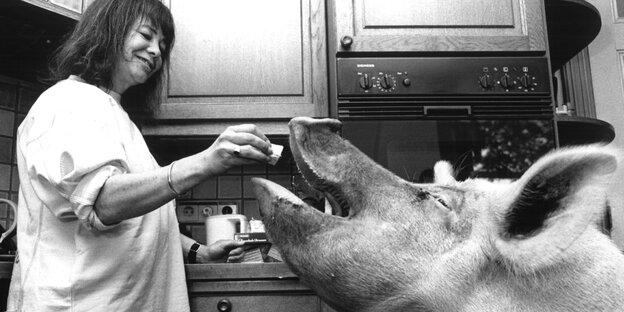 Eine Frau füttert in einer Küche ein großes Schwein