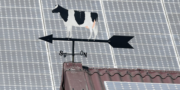 Auf einem Dach ist ein Windrad mit Kuh, im Hintergrund ein anderes Dach mit Solarzellen