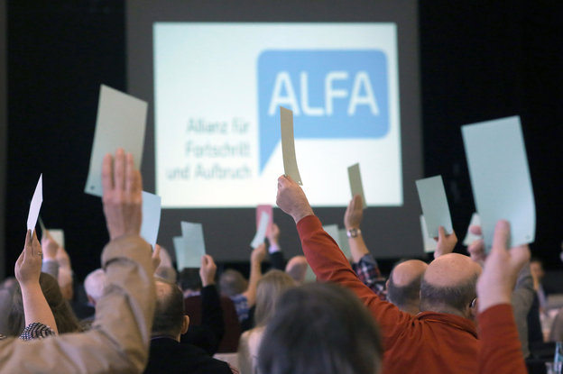 Abstimmung auf einem Parteitag der Alfa