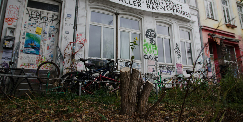 Baumstümpfe vor den Hafenstraßen-Häusern