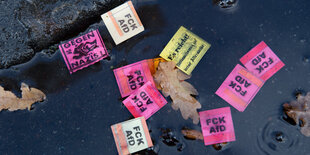 In einer Pfütze treiben braune Blätter und bunte Sticker, auf denen „Fuck AfD“ steht