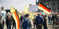 Demonstrierende mit Deutschlandfahnen