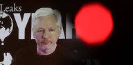 Julian Assange neben einem roten Lichtfleck