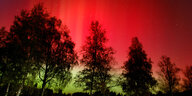 Schwarze Bäume vor einer rot-grünen Nordlichtkulisse