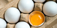 Eier in einem Eierkarton. Eines ist aufgeschlagen, man sieht das flüssige Eigelb