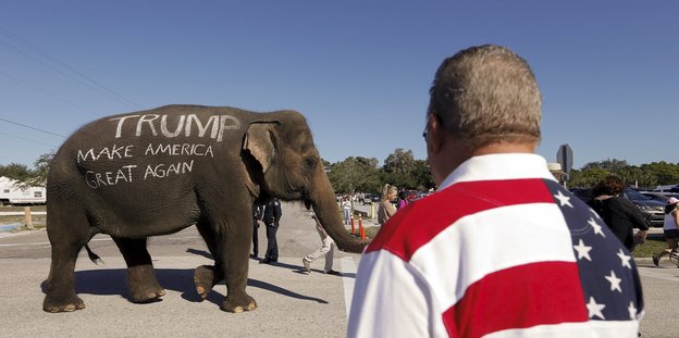 Ein Elephant ist mit dem Slogan Dnald Trumps beschrieben