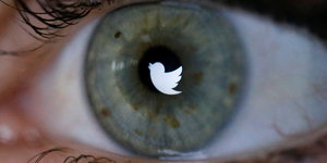 In einem Auge ist ein kleines weißes Twittersymbol zu sehen