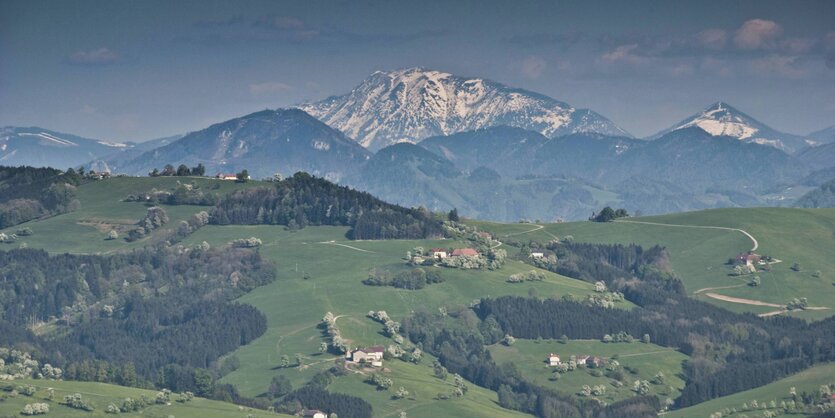 Almen vor einem Berg