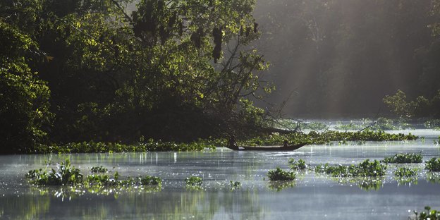 Der wunderschöne ruhige Fluss Orinoco fließt