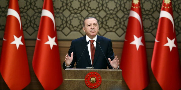 Tayyip Erdogan und türkische Fahnen