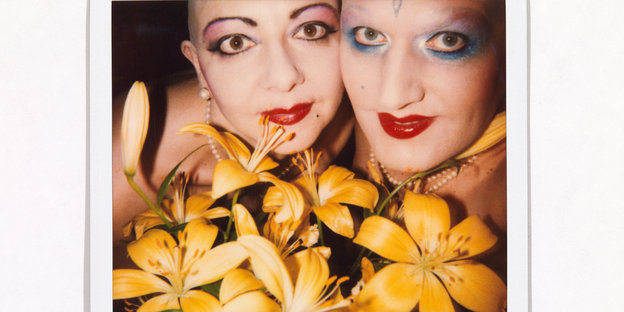 Eva & Adele blicken über gelben Blumen hervor