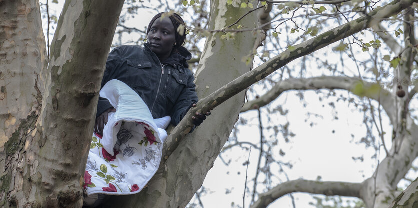 Napuli Langa auf einem Baum