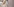 Eine blonde Braut mit langem Schleier