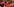 Drei Fans in traditionell chinesischer Kleidung im Fanblock