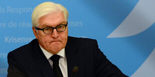 Porträt Steinmeier