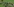 Mehrere Spieler des 1. FC St. Pauli liegen am Boden