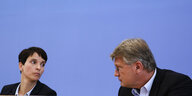 AfD-Bundesvorsitzende Frauke Petry berät sich mit ihrem Vize Jörg Meuthen