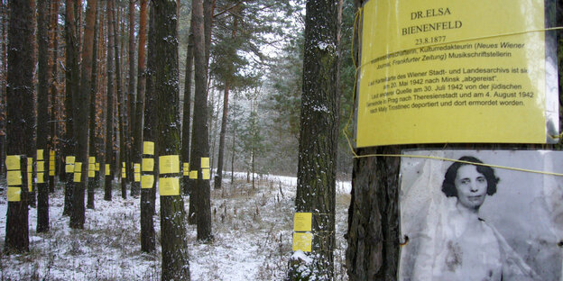 Ein Wald, auf den Bäumen Fotografien und Texte, die an die Ermordeten erinnern