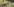Zwei Mountainbiker fahren durch einen Wald