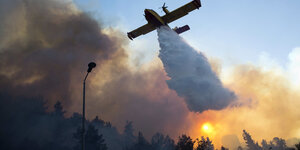 Ein Löschflugzeug wirft Wasser über der brennenden Stadt Haifa ab, Rauch steigt auf