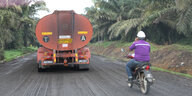 LKW fährt durch Palmölplantage in Malaysia