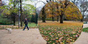 In einem Spiegel sind herbstliche Bäume und Wiesen zu sehen. Der Spiegel steht in einem Park