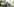 Ein Junge mit Down-Syndrom streichelt eineb Hund im Park