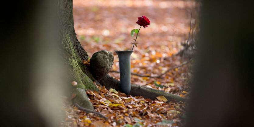 Eine Blume in einer Vase, die im Waldboden steckt