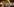 Zwei Frauen halten ein Steckenpferd bei einer Demonstration