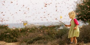 Ein Mädchen steht mit einem Palmzweig in der Hand in einem Schwarm rosafarbeneer Heuschrecken am Strand von Fuerteventura