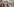 Politiker Norbert Hofer und viele Anhänger mit Hofer-Masken