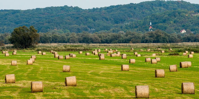 Landschaft in der Uckermark