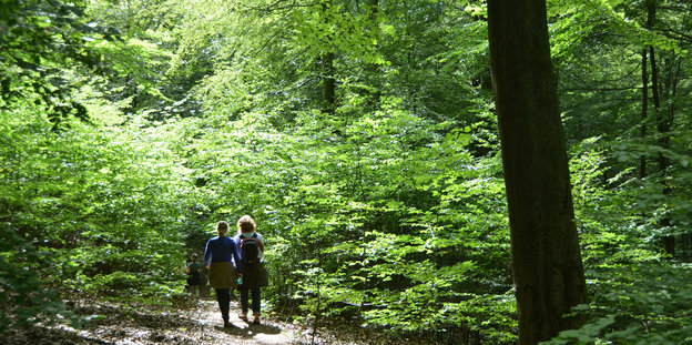 Zwei Menschen laufen durch einen Wald