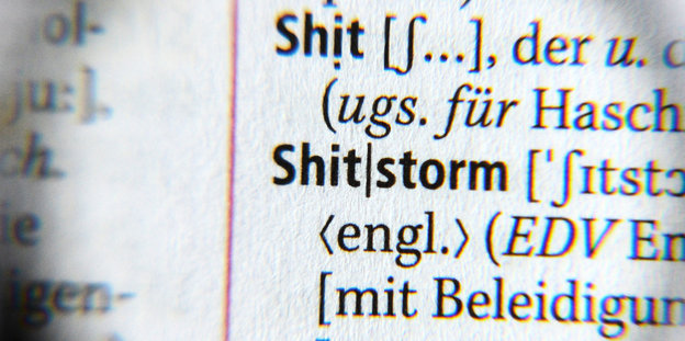 Die Begriffe "Shit" und "Shitstorm" in einem Wörterbuch